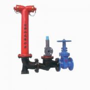 Above-ground siamese hydrant