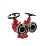 Double valve double outlet indoor hydrant
