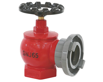 Rotary indoor hydrant